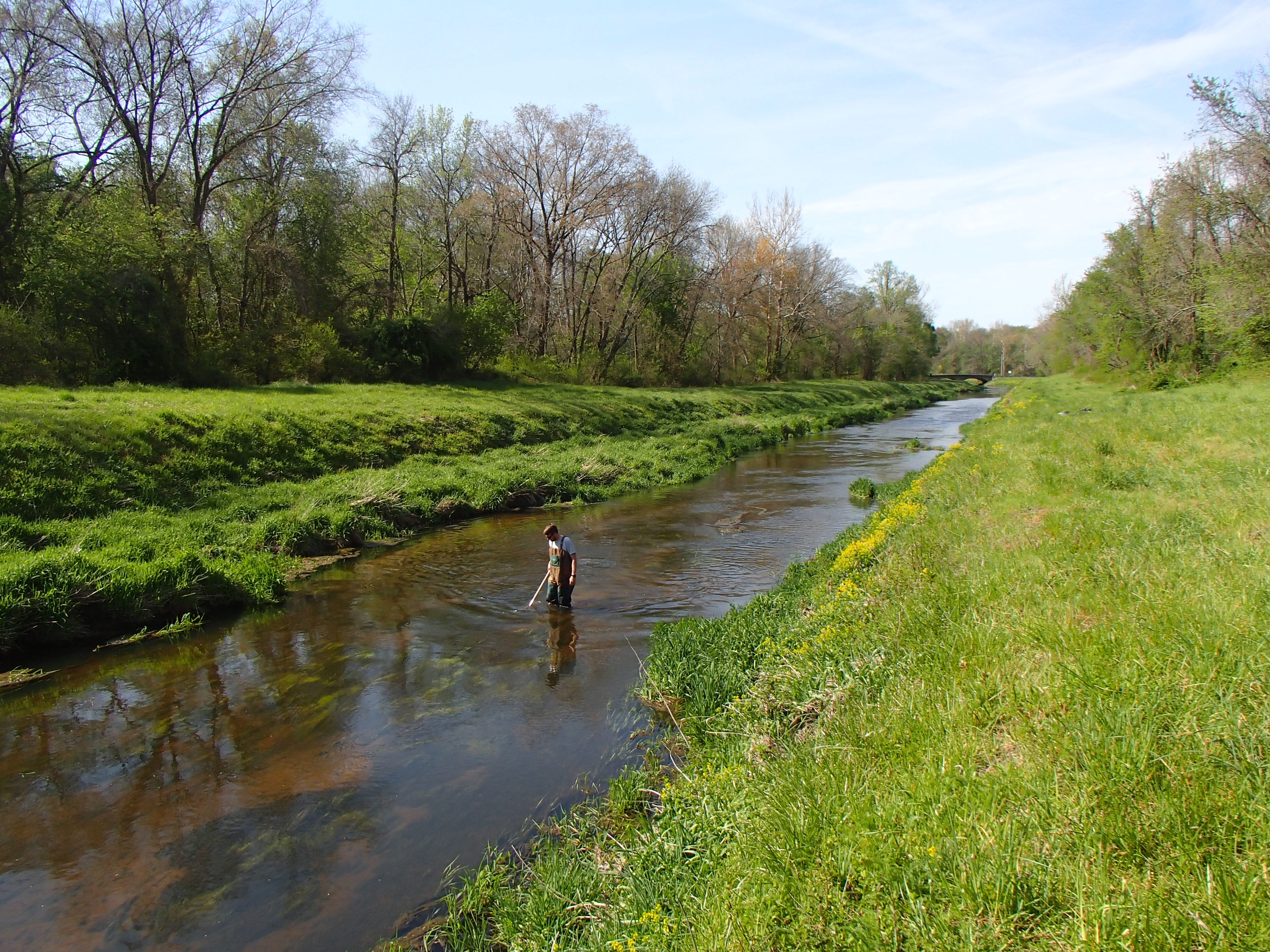 Field photo showing stream conditions at site TUCK-309-R-2016_midpoint looking downstream